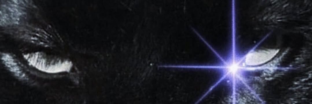 daddy silver thee sinister ꩜'s banner