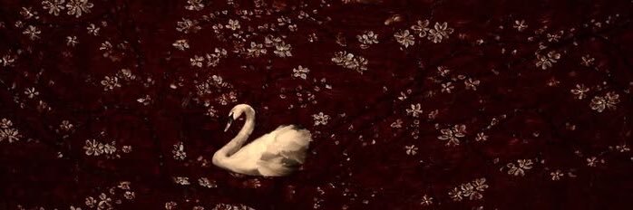 Nina 🦢's banner