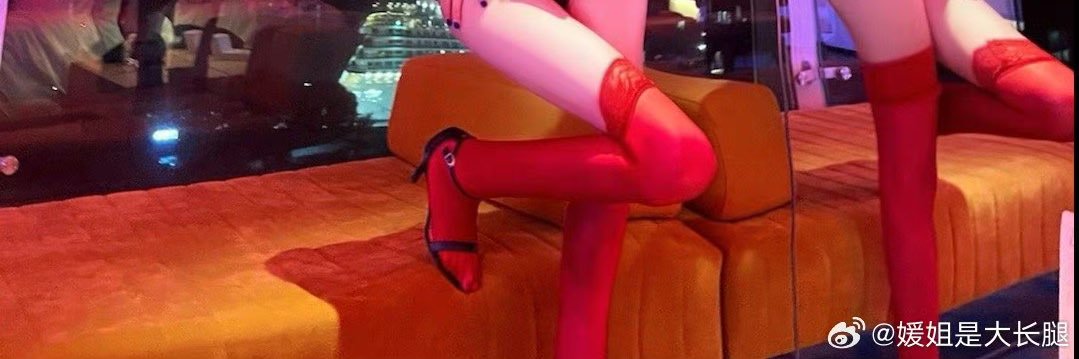 园子是大长腿💕's banner