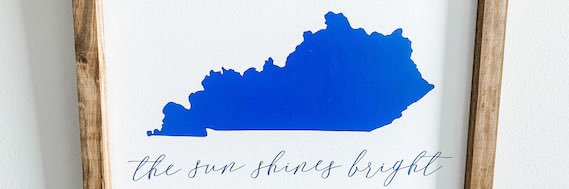 SHANNON's banner