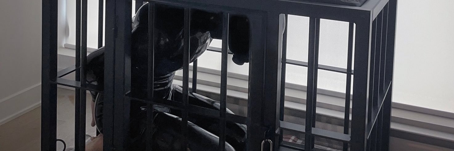 Gimp Pup 0's banner