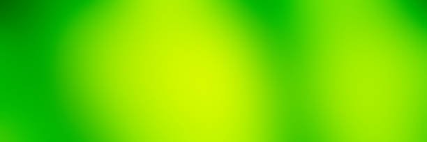 ren 🤍 galera's banner