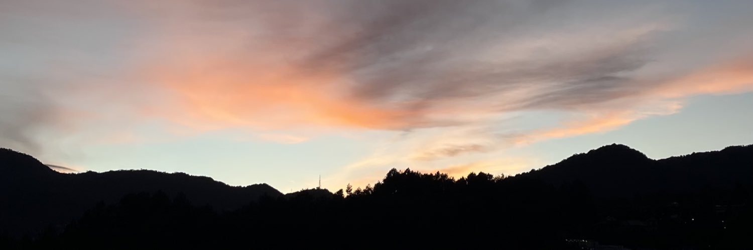 bi's banner