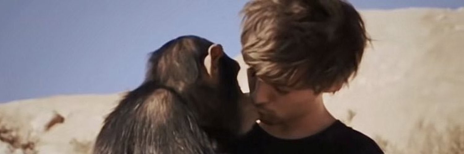 Louies fuera de contexto ໑̣ 🎸🍋's banner