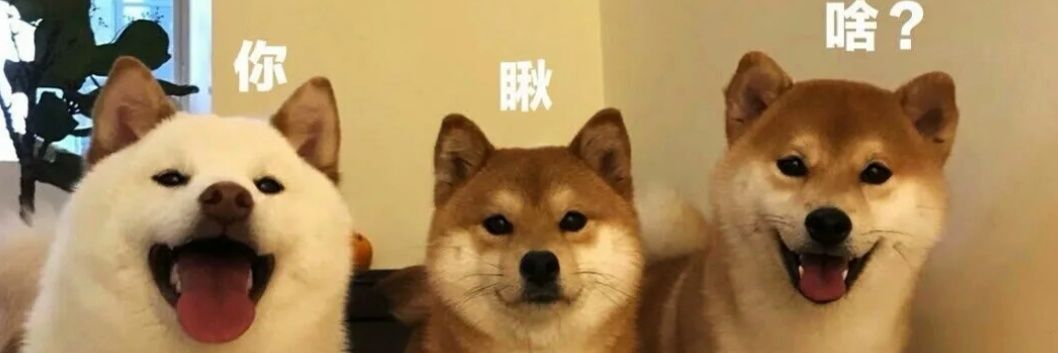 乐乐's banner