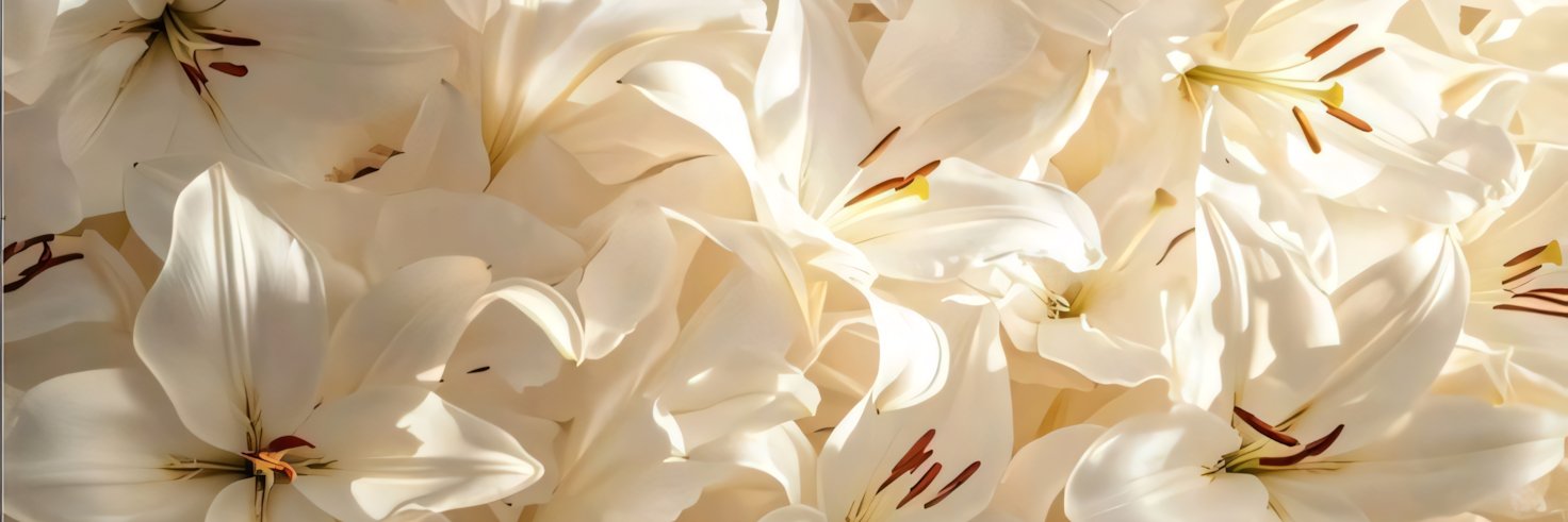 Suzanna's banner