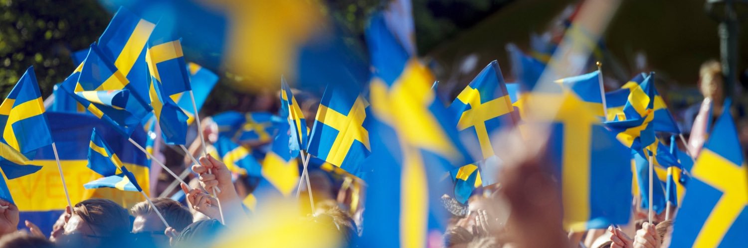Mikael N's banner