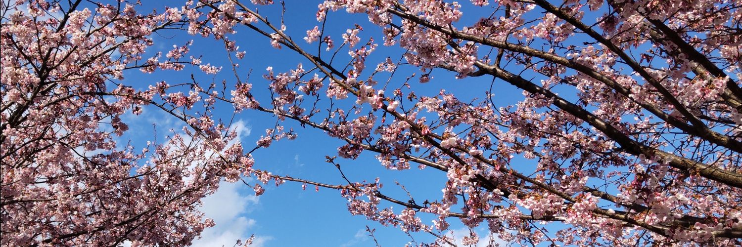 あみりん's banner