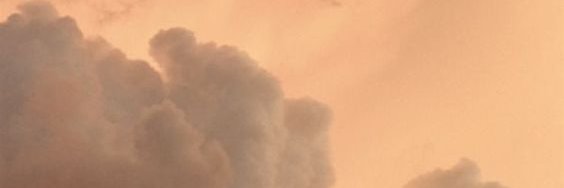 Brunettes's banner