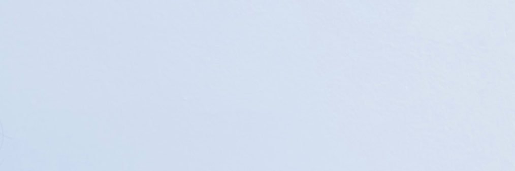 디어's banner