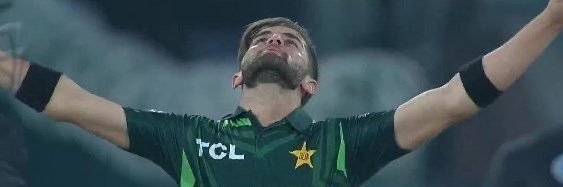 Basheera( LQ) 🇵🇰💚's banner