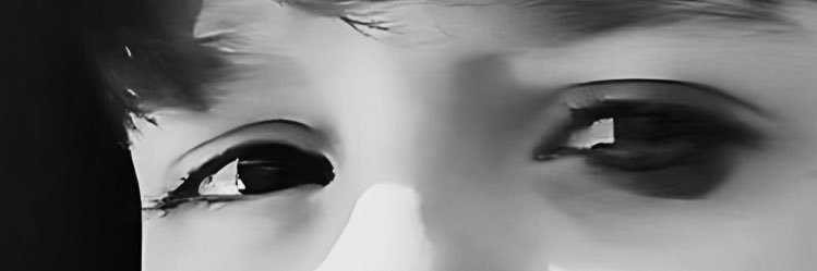 Binnur Semiz's banner