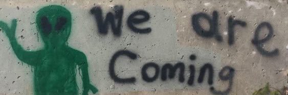 🌮's banner