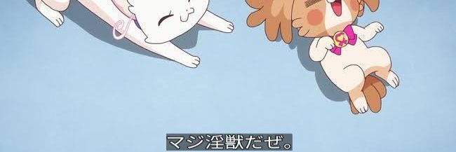 🍆茄子's banner