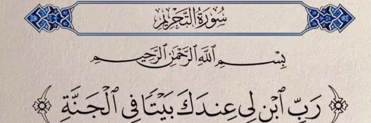 Hasbo Mohamed's banner