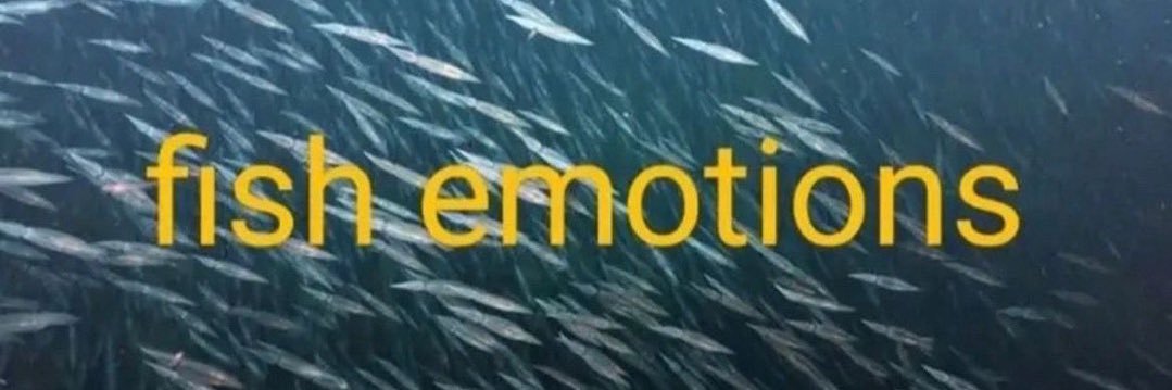 your local multilingual icon's banner