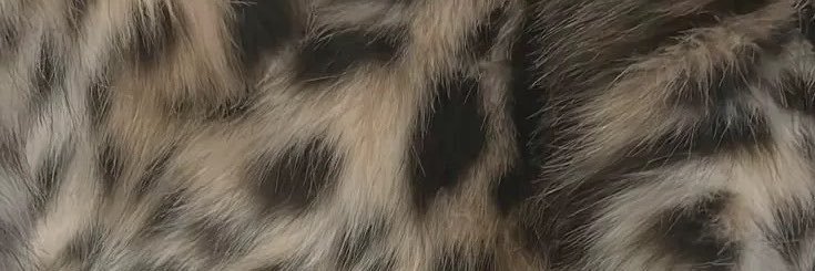 𝓁𝘯's banner