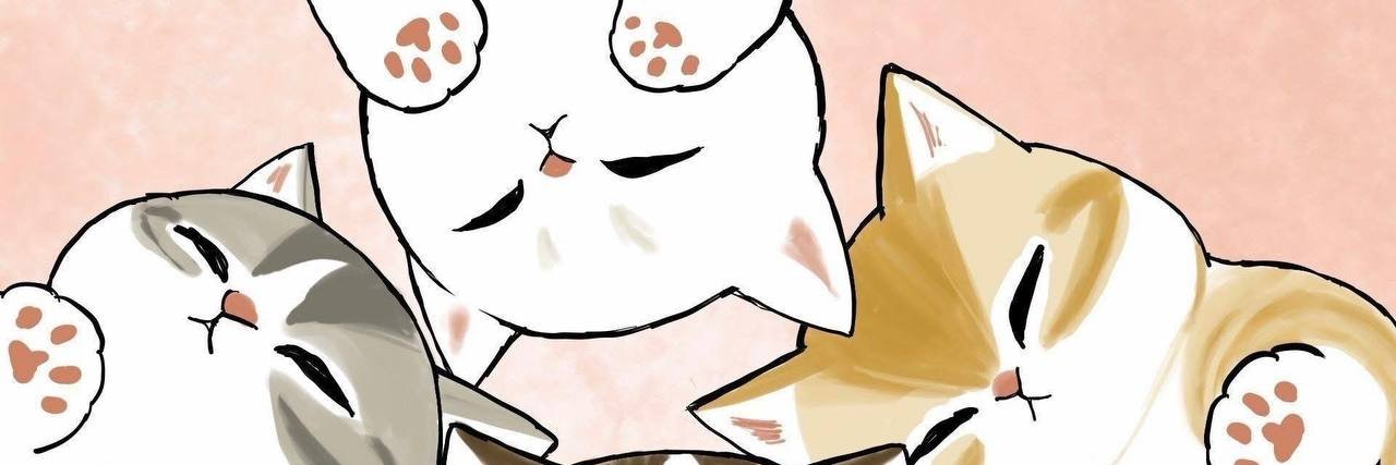 𝒬𝒾𝓂 𝒬𝒾𝓂's banner