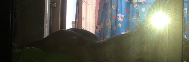 T🐷's banner