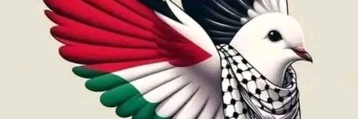 Gaza Life Line 🇵🇸's banner