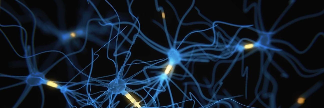 Neuromed's banner