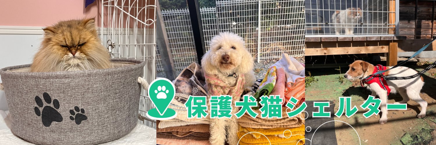 petfelice保護犬猫シェルター大宮見沼店's banner