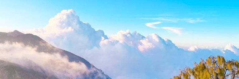 Taro_'s banner
