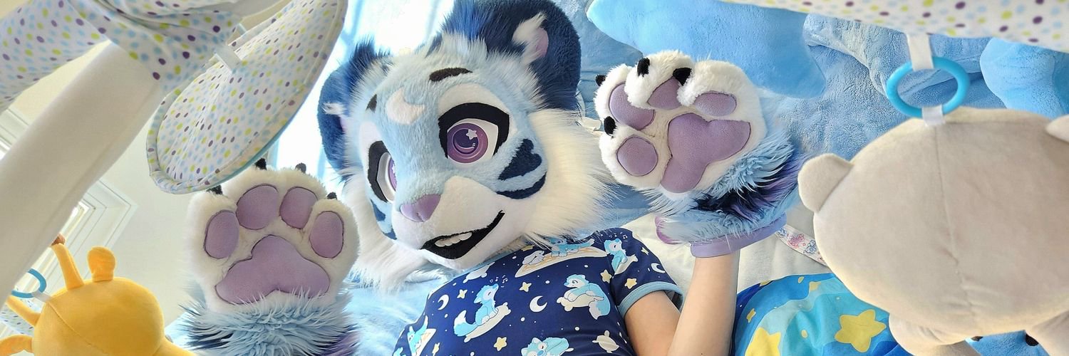 Silly Lil Kitten's banner