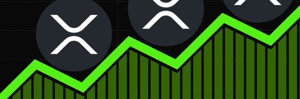 KingXRP's banner