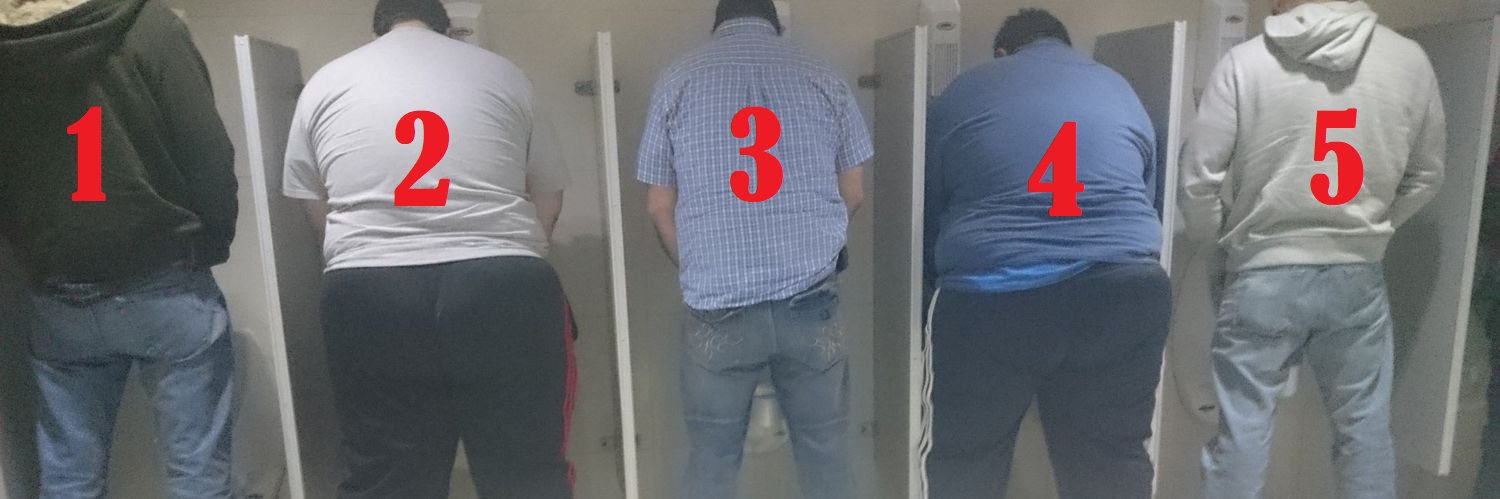 للدب's banner