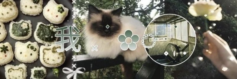 nyuta⁺¹'s banner