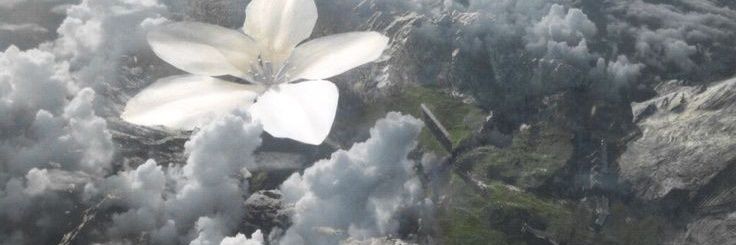 ☁️ nana ☁️'s banner