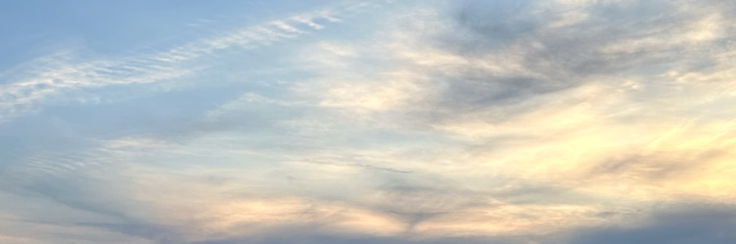 hazal's banner