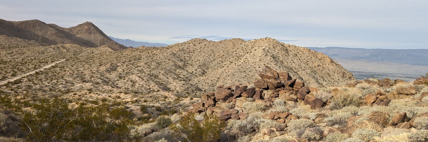 DesertDave's banner