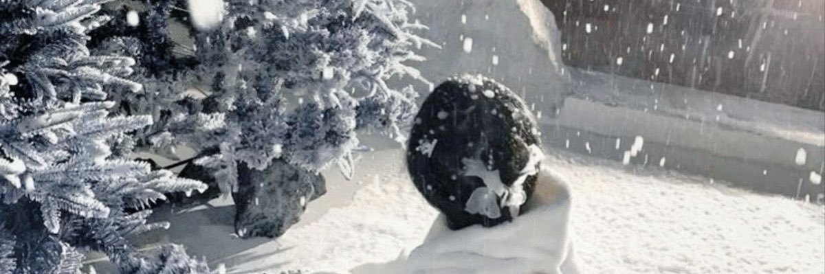 yan❄️'s banner