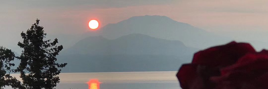 404errorboy's banner