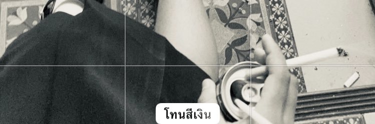 n.s_2012_'s banner