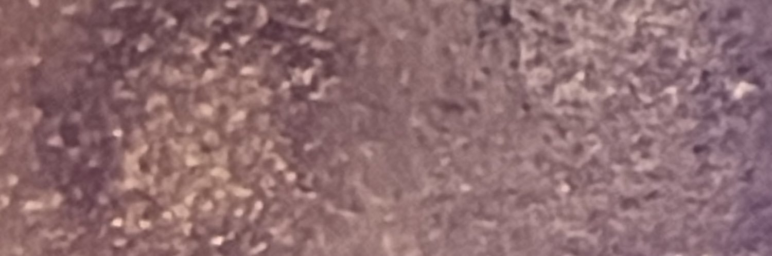 BANNED VIDS🚫's banner