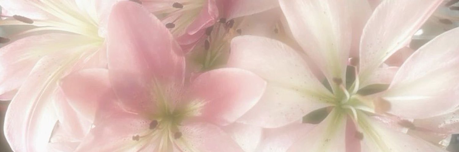 ai 📨's banner