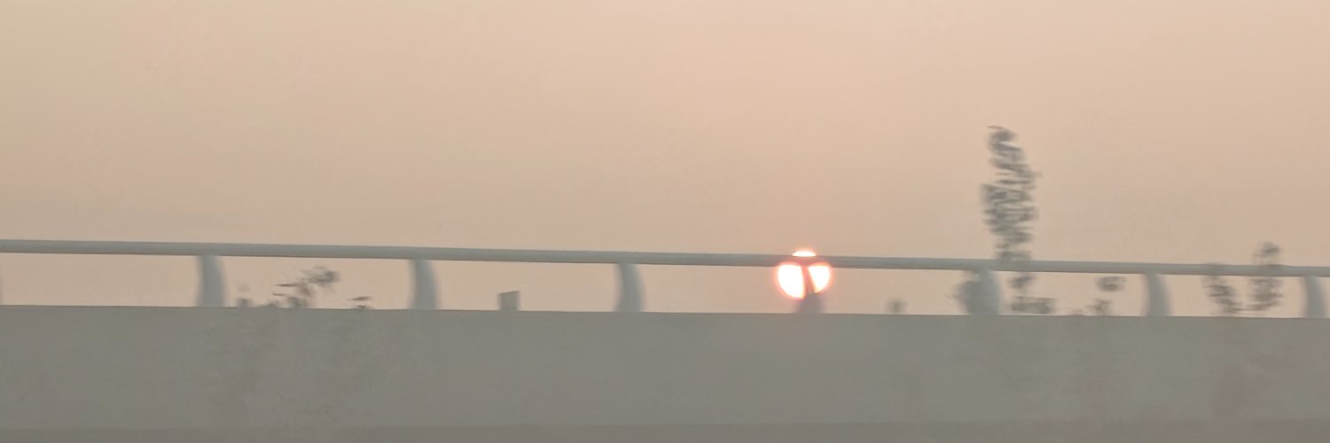 詔's banner
