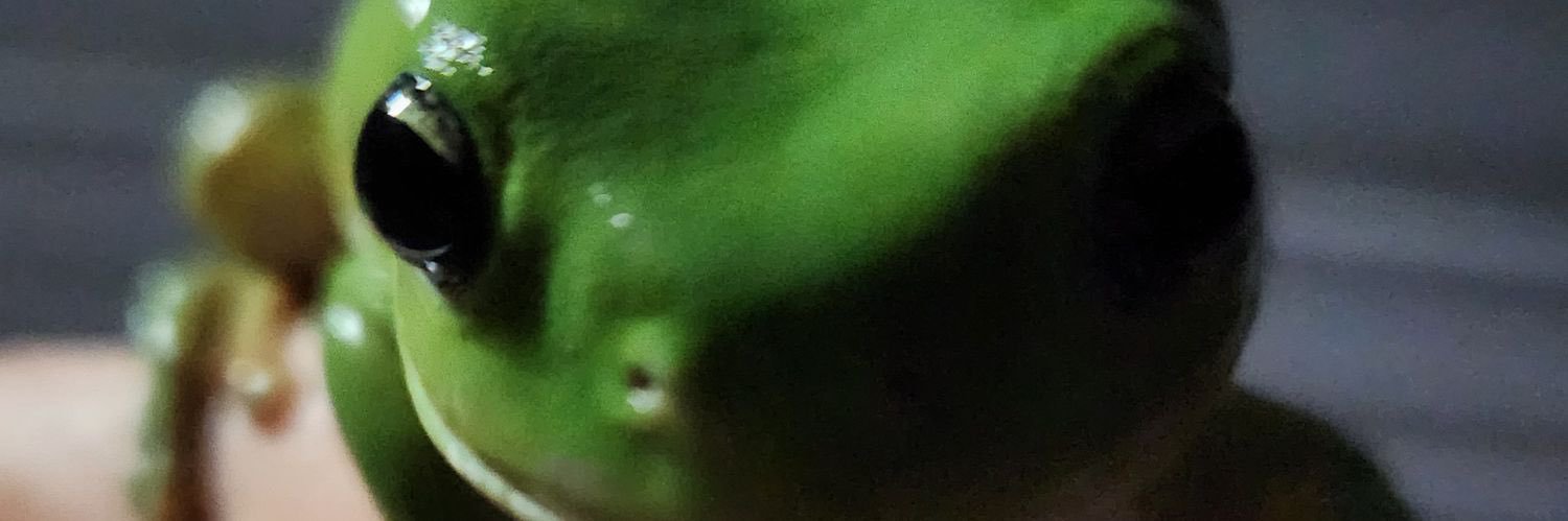 Leo's alt's banner