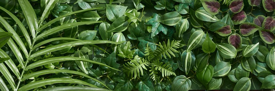 Ivy🌿's banner