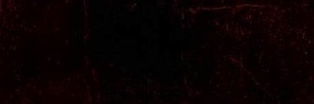 pickles ★'s banner