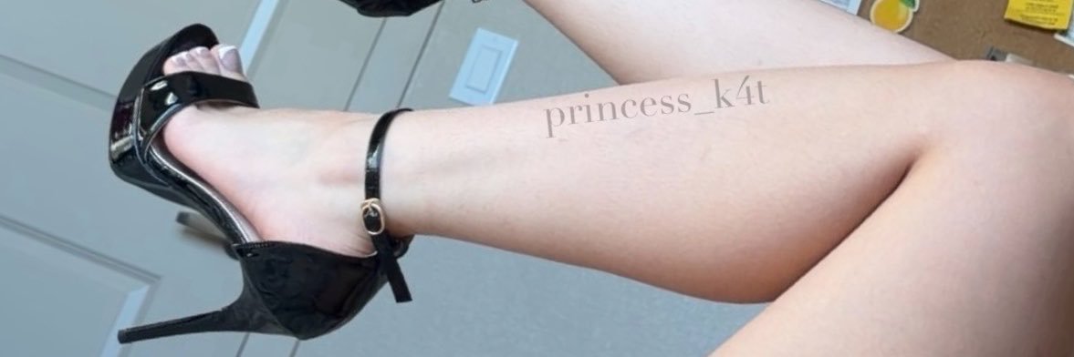 Princess Kat's banner