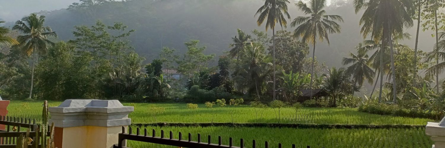 lia ri4's banner