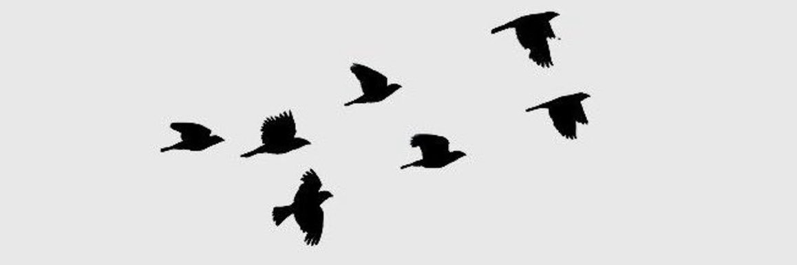Vulturetra (Private)'s banner