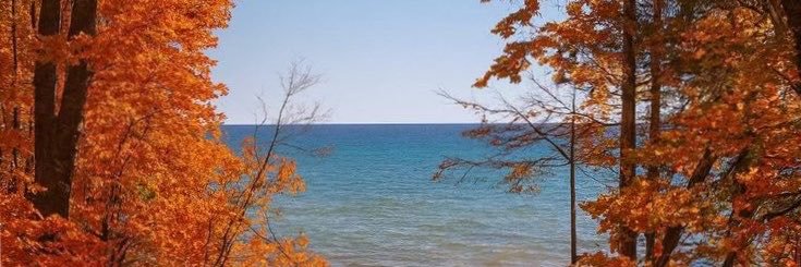 Michigan Enjoyer's banner