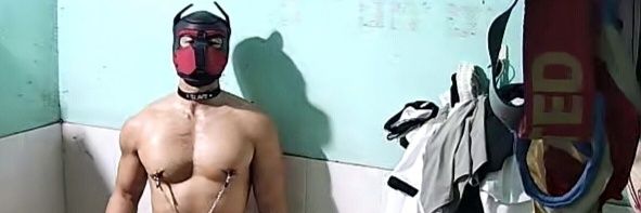 🐶Dog Mưng 🦴 (SLAVE DOG OF SHIN)'s banner