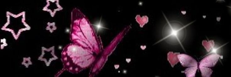 l u n a 𐦍's banner