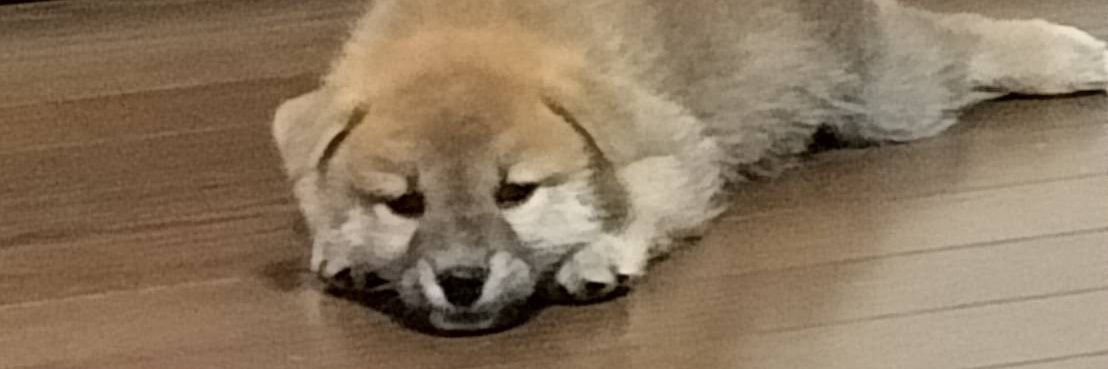 まめ大福♡'s banner